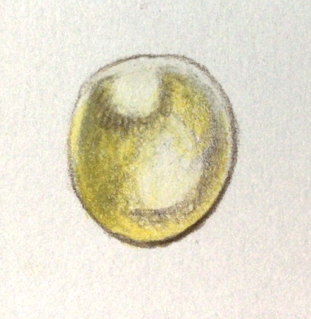 丸い金属