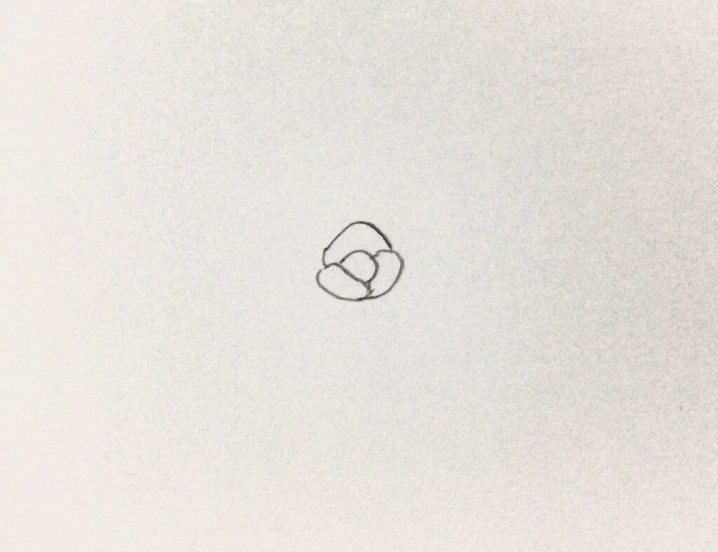 バライラスト中心