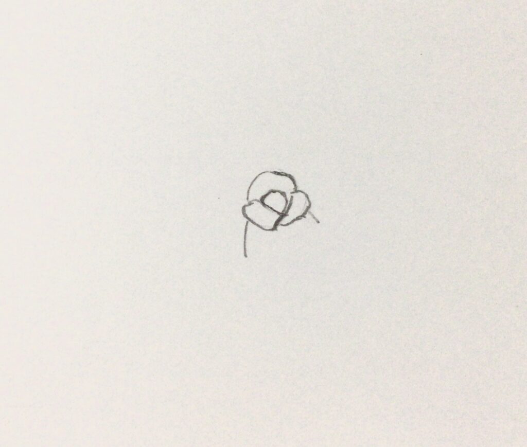 バライラスト中心