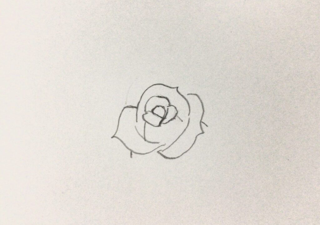 薔薇イラスト