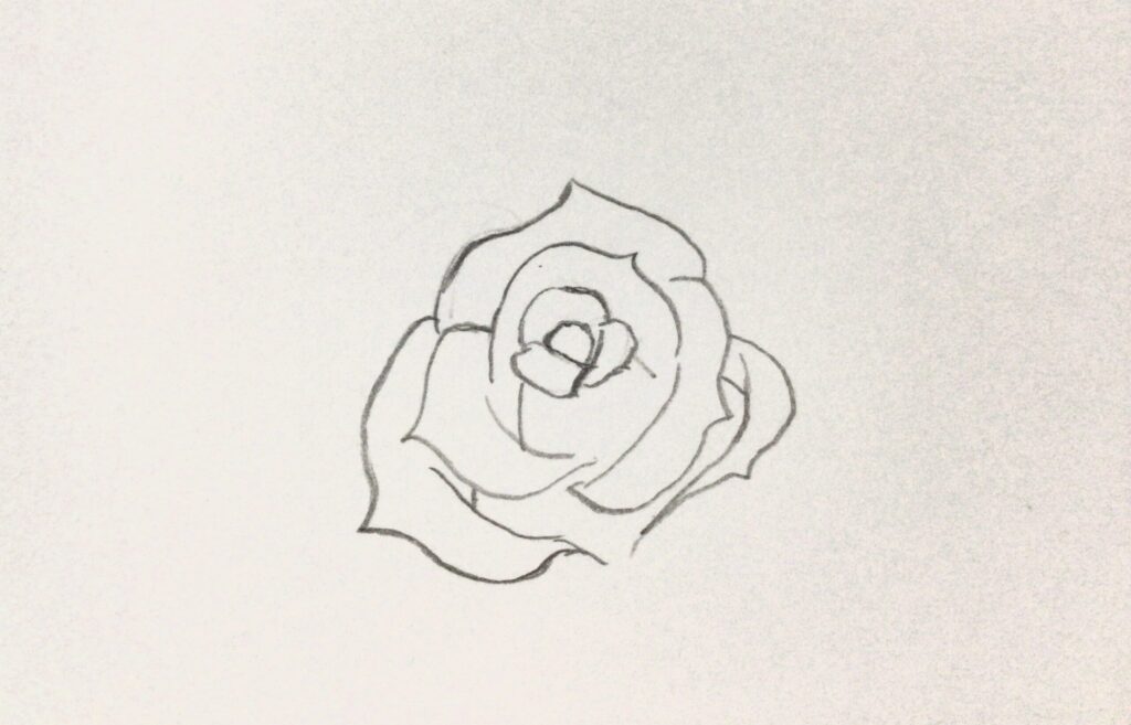 薔薇イラスト