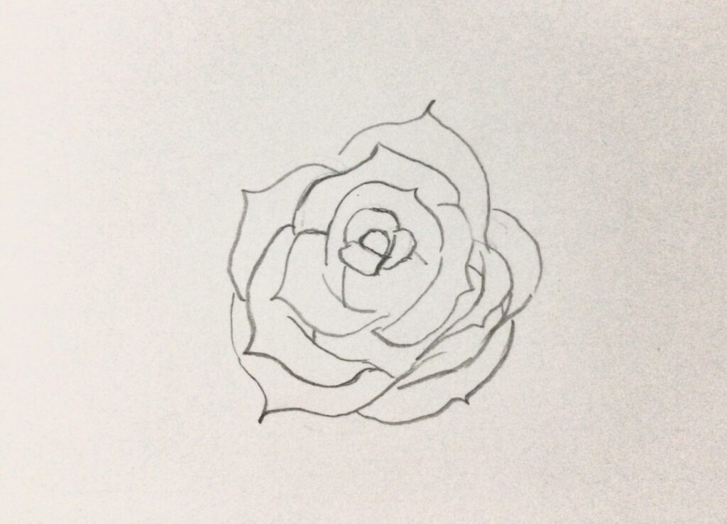 薔薇イラスト