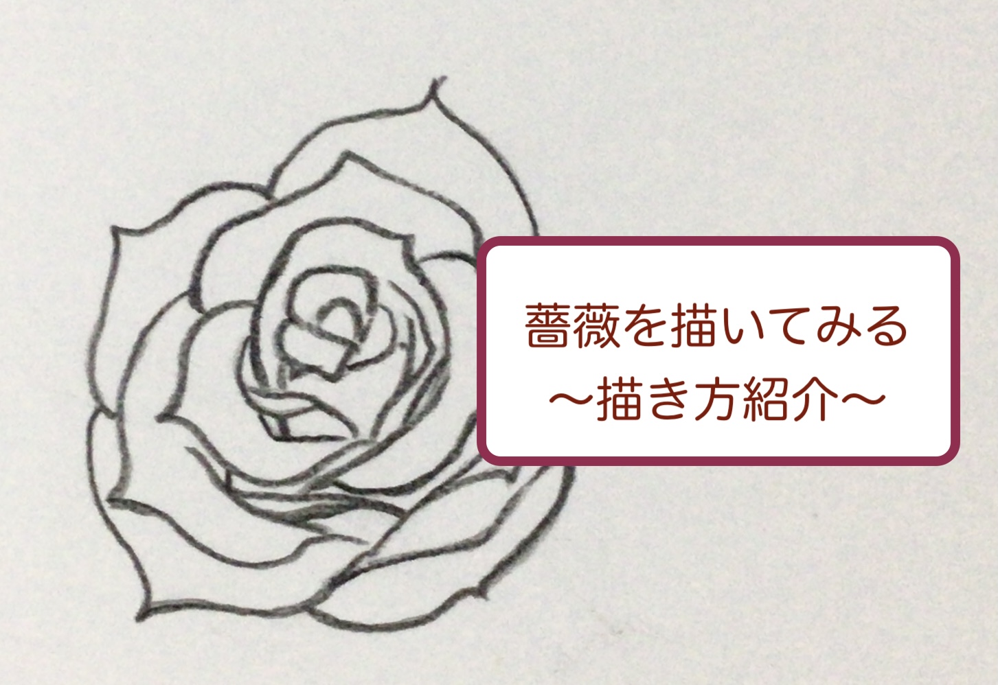 薔薇の描き方