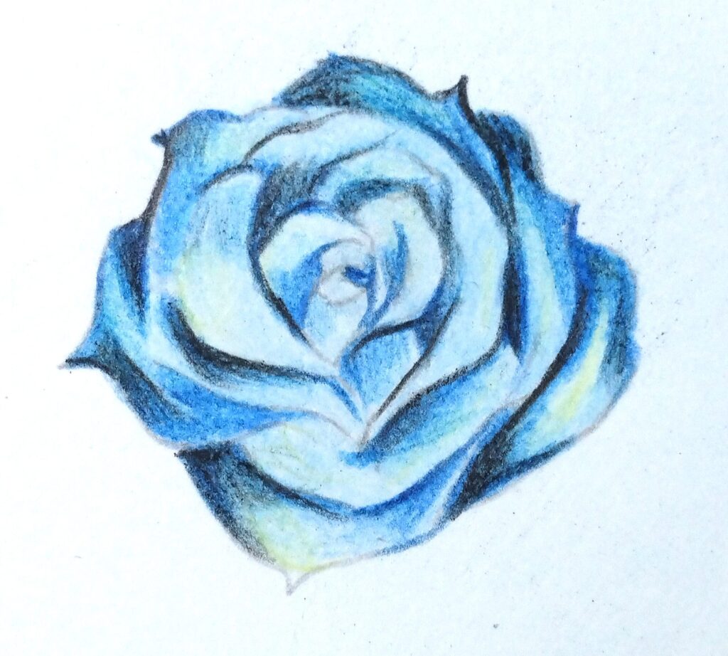 黒色で影を塗る