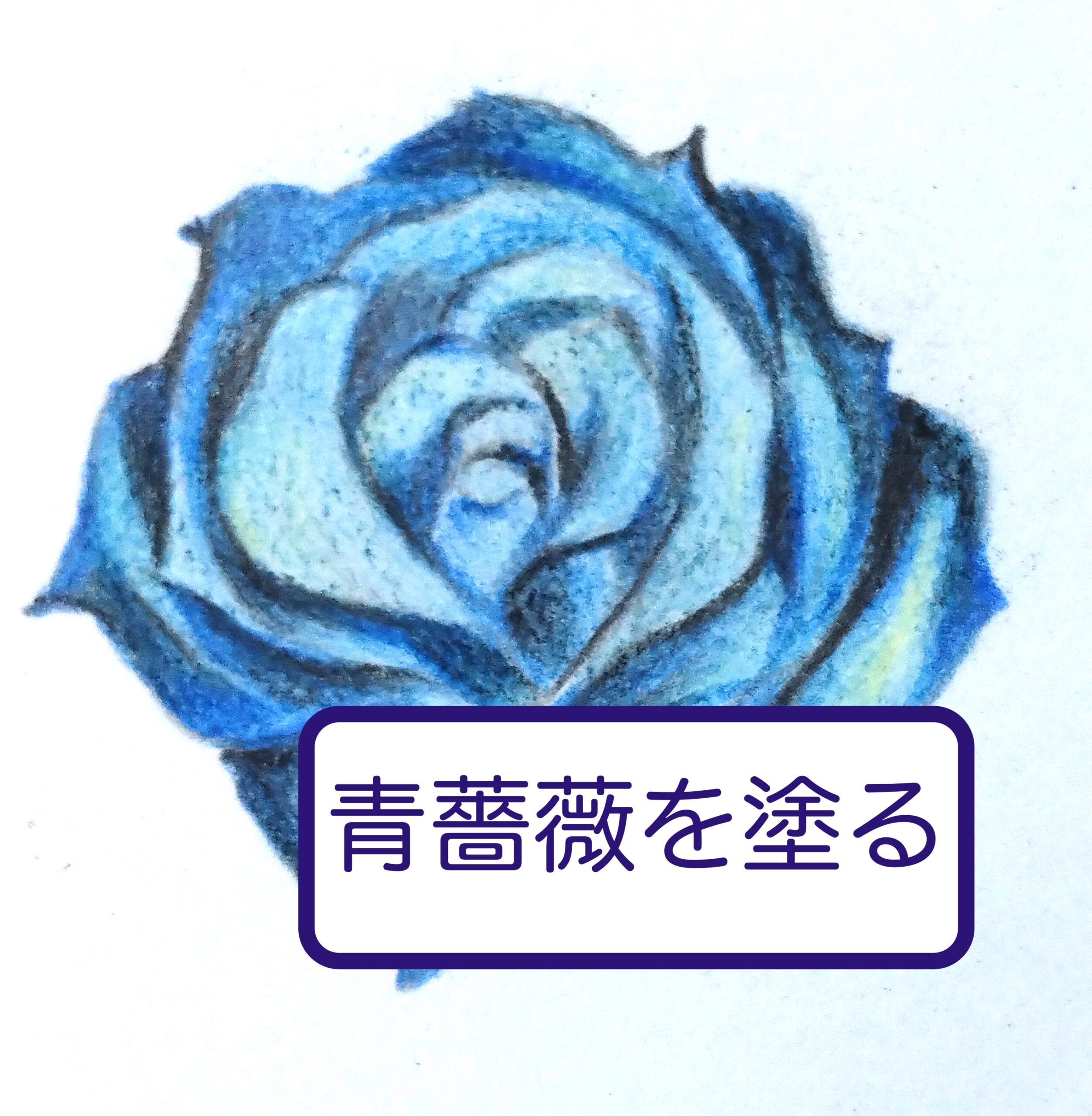 青薔薇を塗る